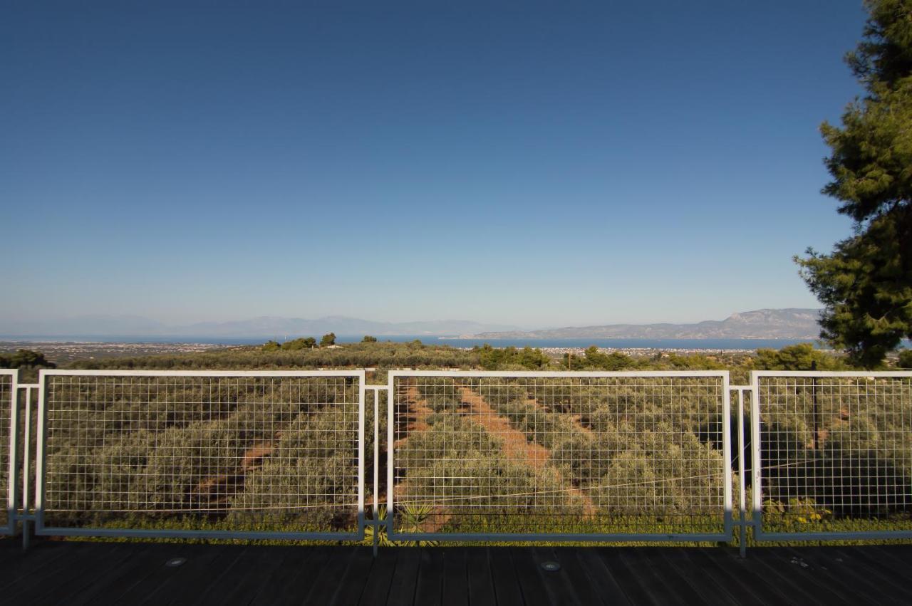 Country Villa Peloponnese With Tennis Court And Pool Zevgolateíon 外观 照片